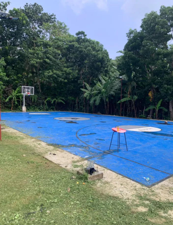 The blue outdoor basketball court bordered by trees