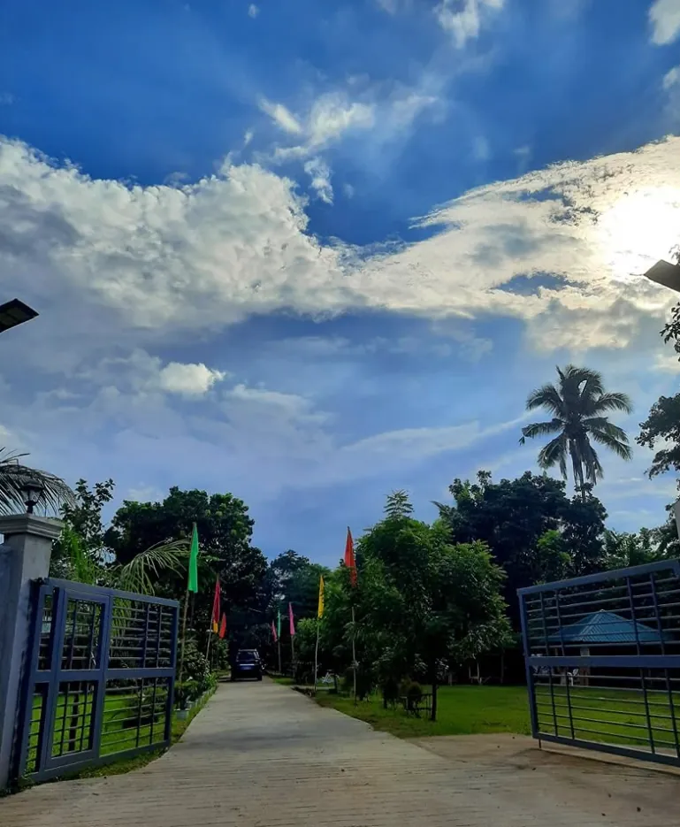 The entrance gate and tree-lined driveway under a dramatic blue sky